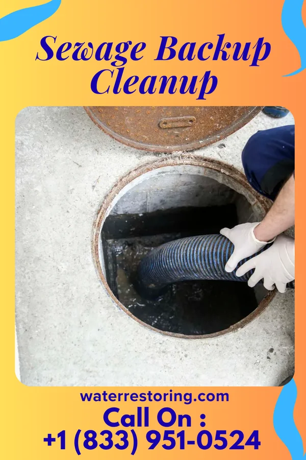 Sewage Backup Cleanup in Mauckport, IN